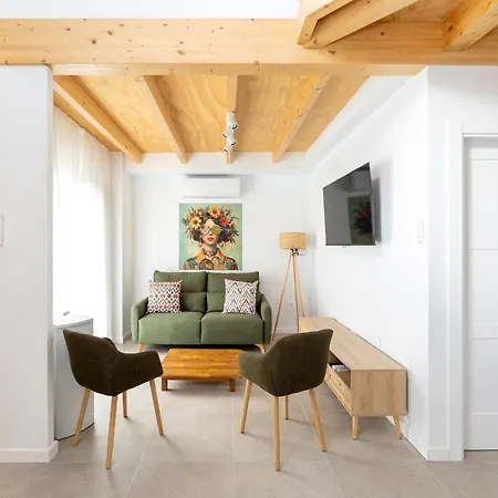 Nest Flats Triunfo Apartamento Granada
